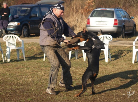 The christmas training 27.12.2006